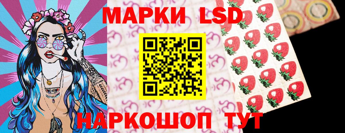 купить закладку  Марки 25I-NBOMe 1,5мг  Вход с VPN  Гусиноозёрск 