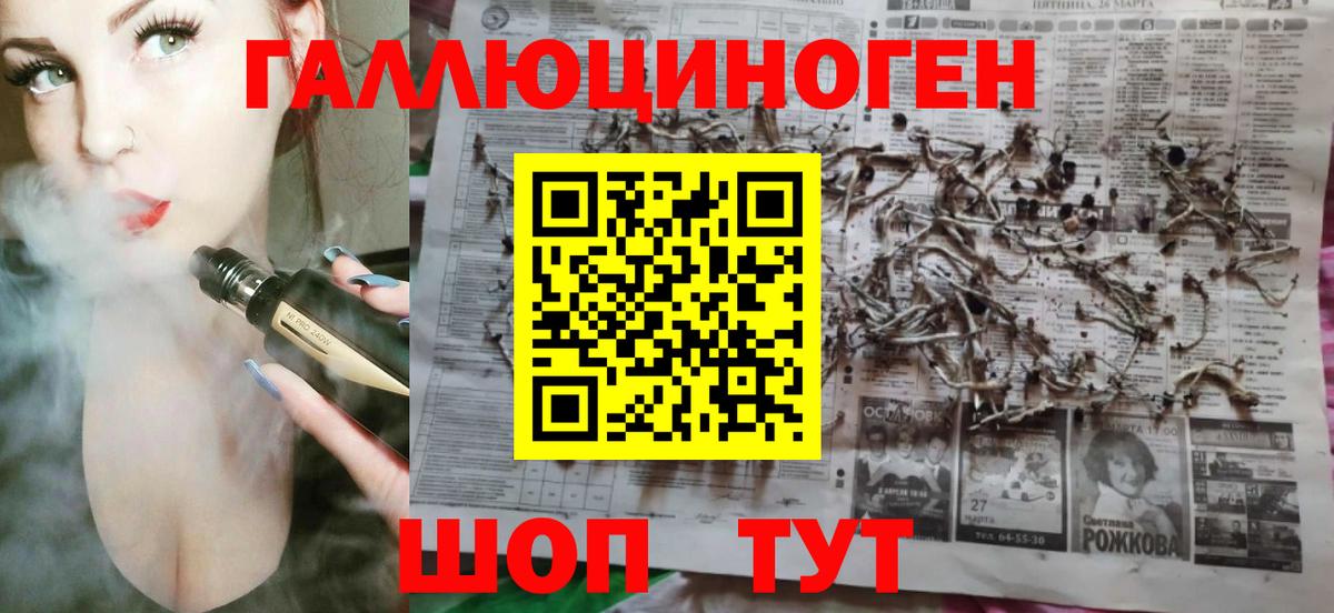 Псилоцибиновые грибы Magic Shrooms  Вход с VPN  Гусиноозёрск 